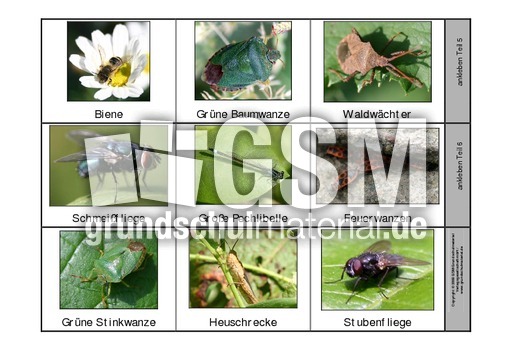 Leporello-Insekten-1-Seite-2.pdf